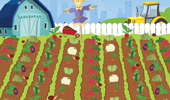 market&vegetable_patch